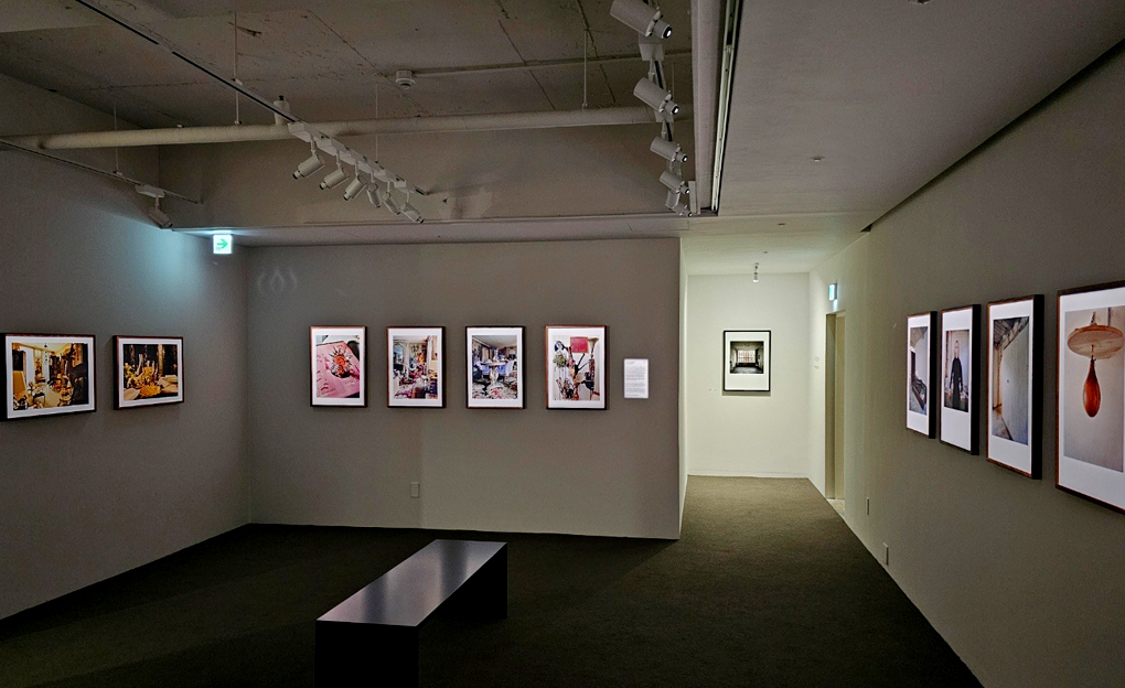Picnic Exhibition Hall